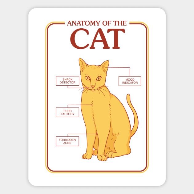 Anatomy of the Cat Magnet by olddesigntees